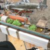 Froda2016 (90)